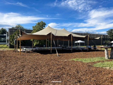 Un sol hors du commun