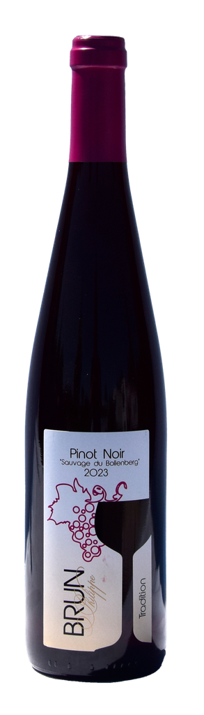 Pinot noir tradition sec P. Brun - 75cl 