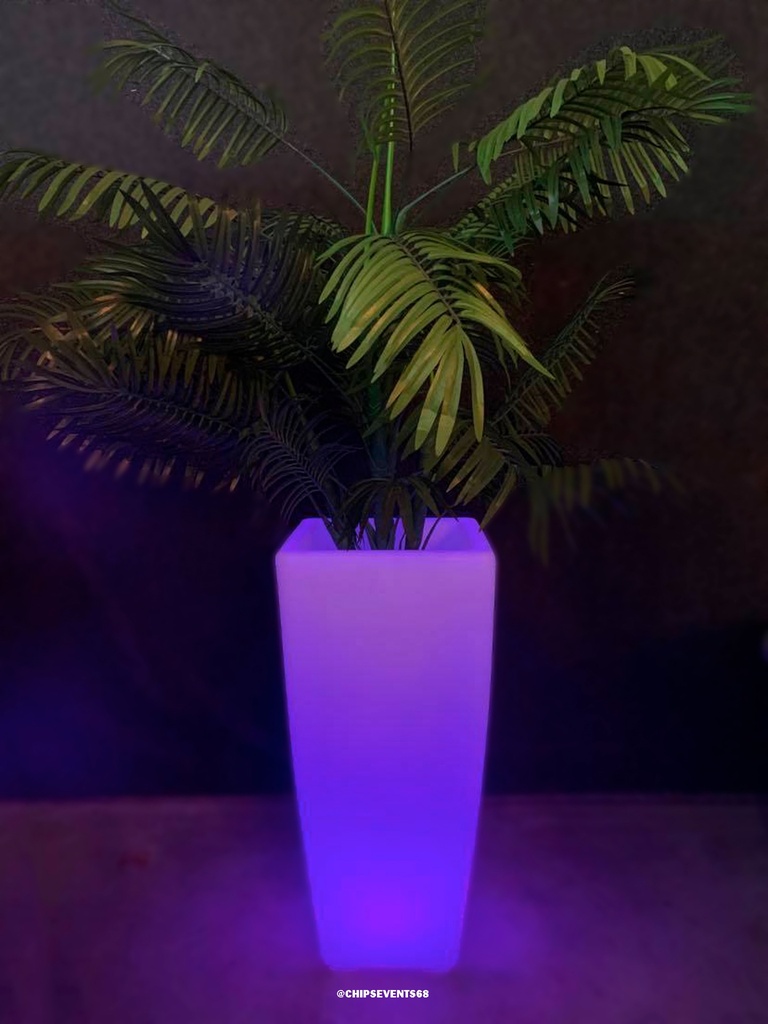 [Location] Palmier artificiel avec pot lumineux