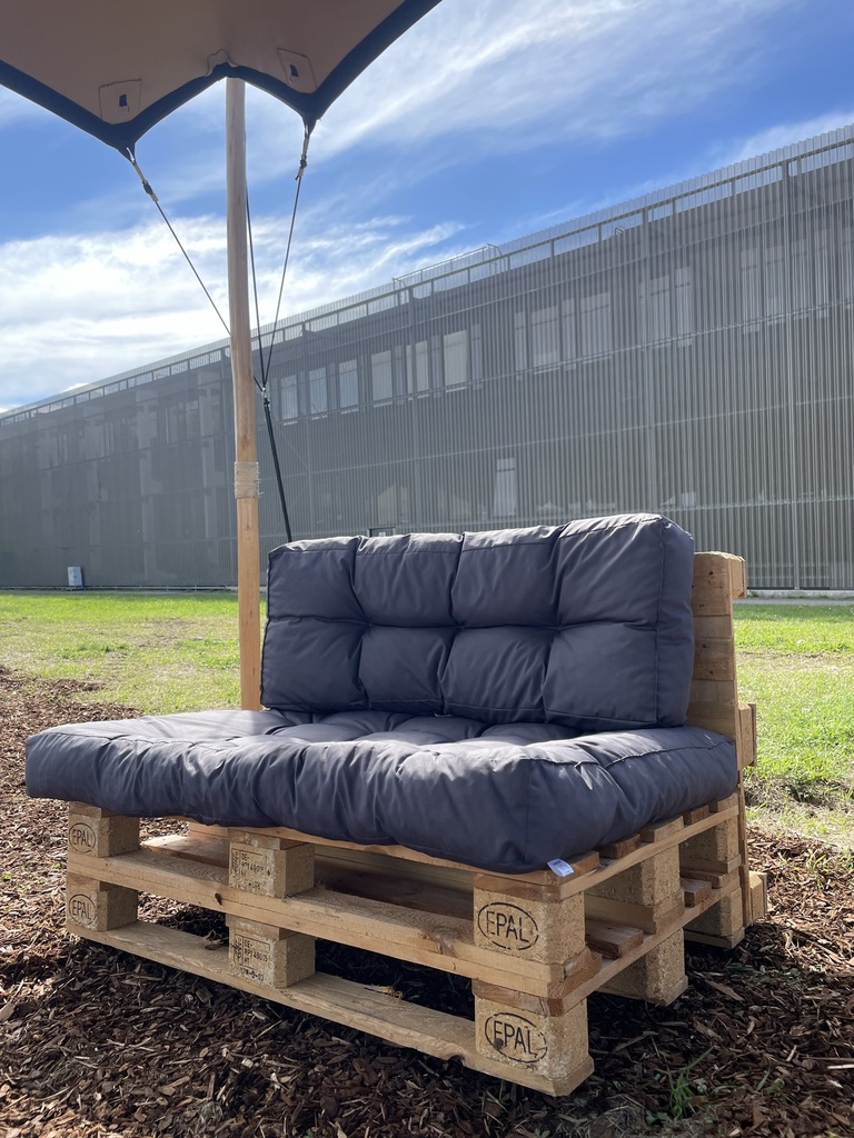 [Location] 2 coussins gris (pour canapé palette)