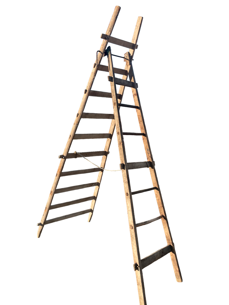 [Location] Echelle peintre présentoir 2 m