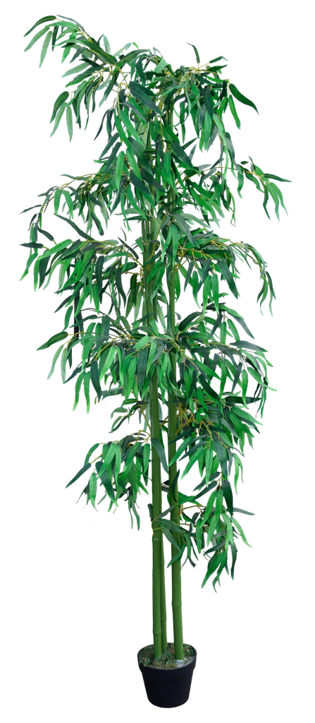 [Location] Plante bambou artificiel hauteur 185 cm
