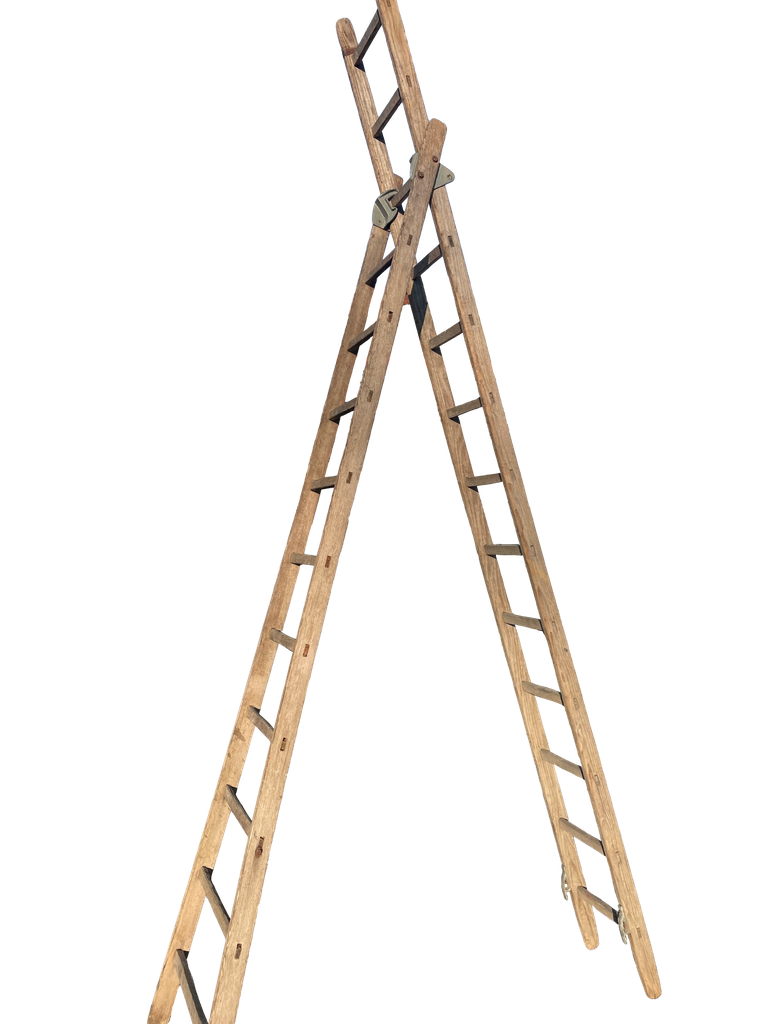 [Location] Echelle peintre présentoir 3 m